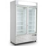 Gastro Tiefkühlschrank 800 liter - 2 Glastüren - WEIß - D 800 - Saro 453-1009