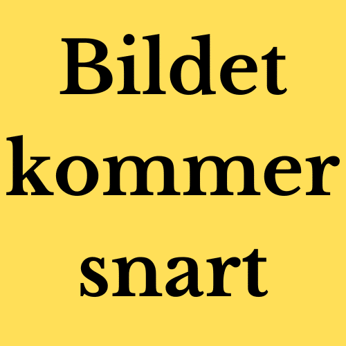 Bilde kommer snart