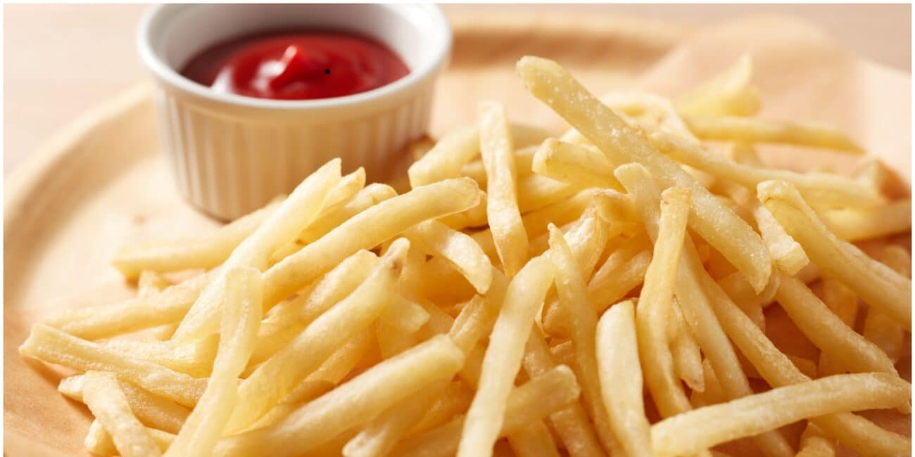 french frites banner, Fritteuse für Gastro
