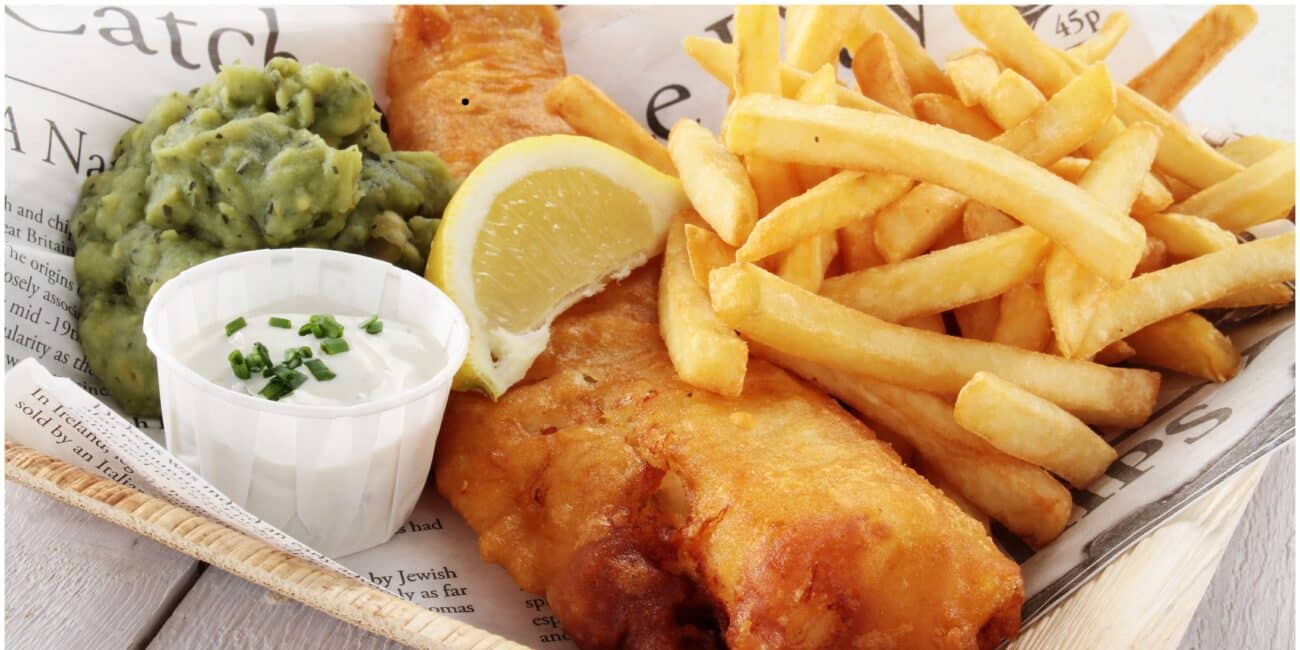 french frites banner, Fritteuse für Gastro